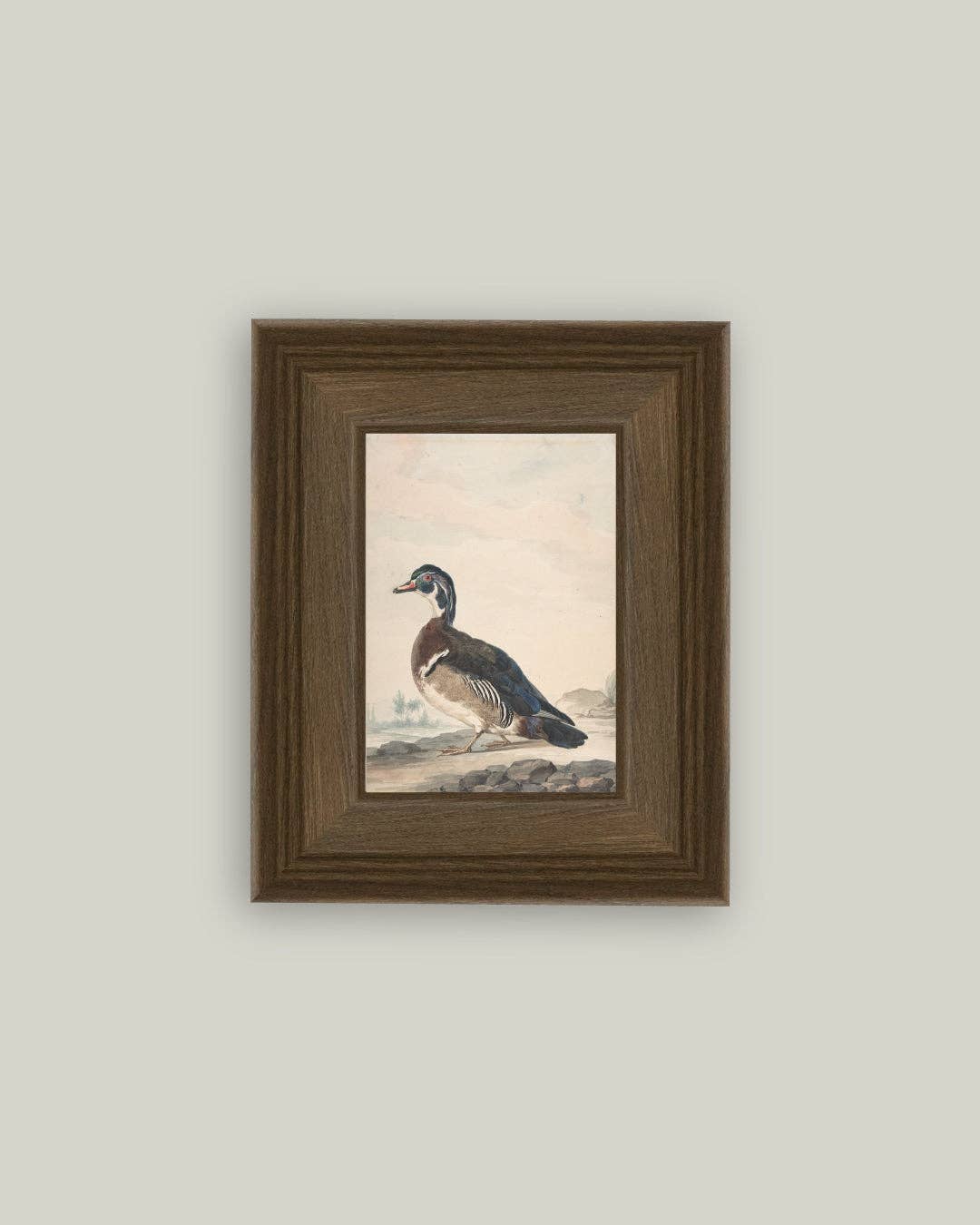 A Duck Framed Antique Art