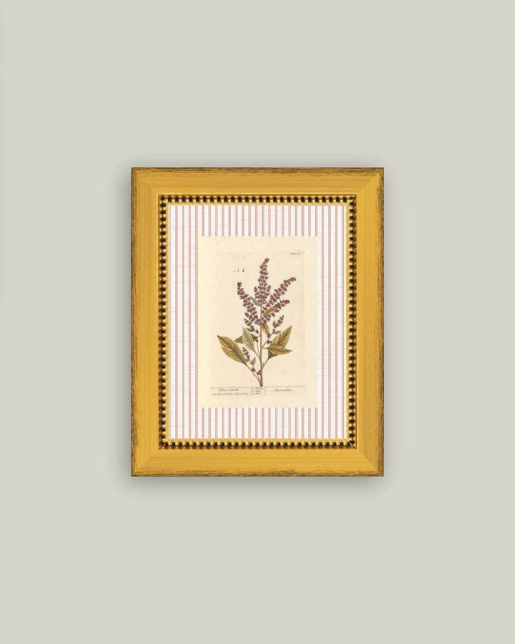 Flower Gentle Framed Antique Art