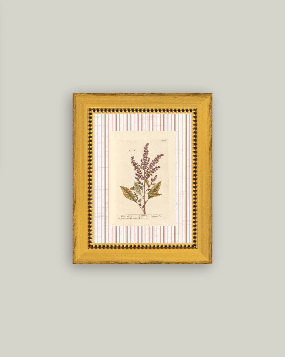 Flower Gentle Framed Antique Art