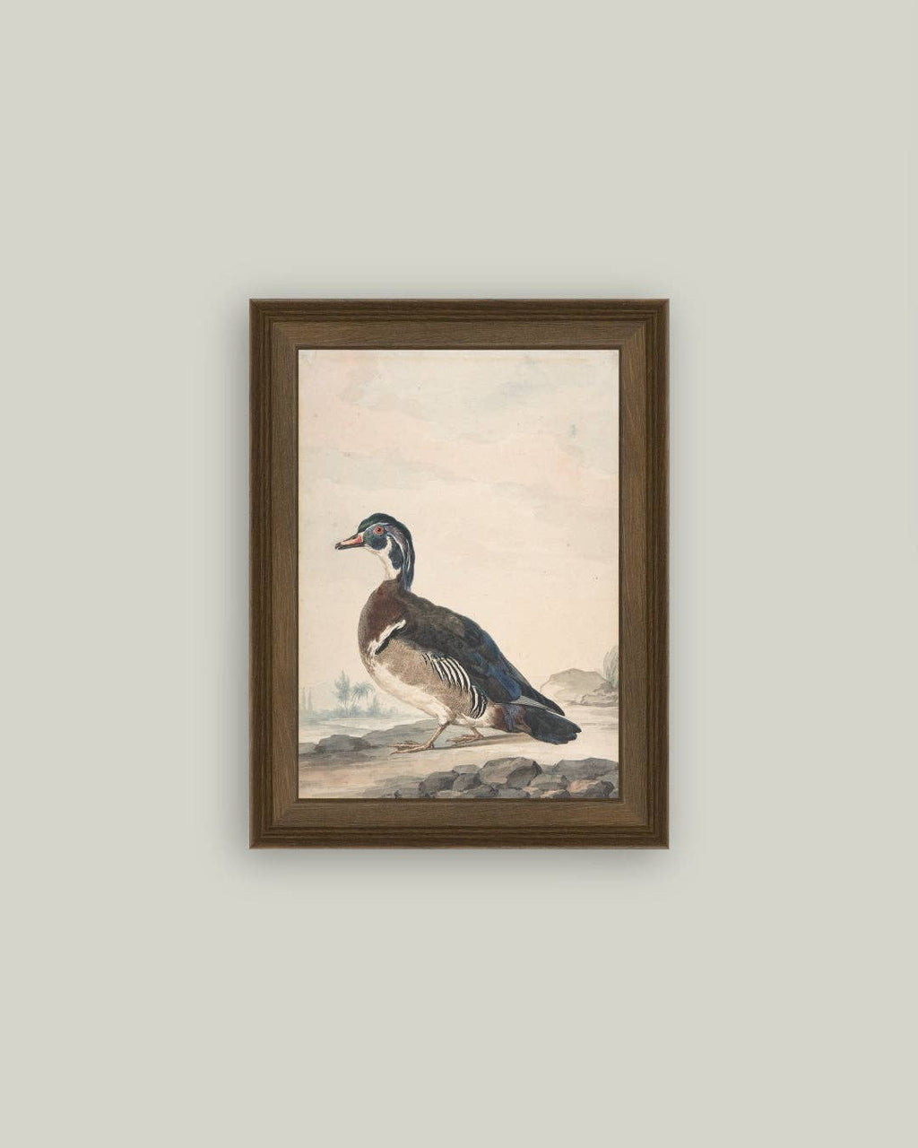 A Duck Framed Antique Art
