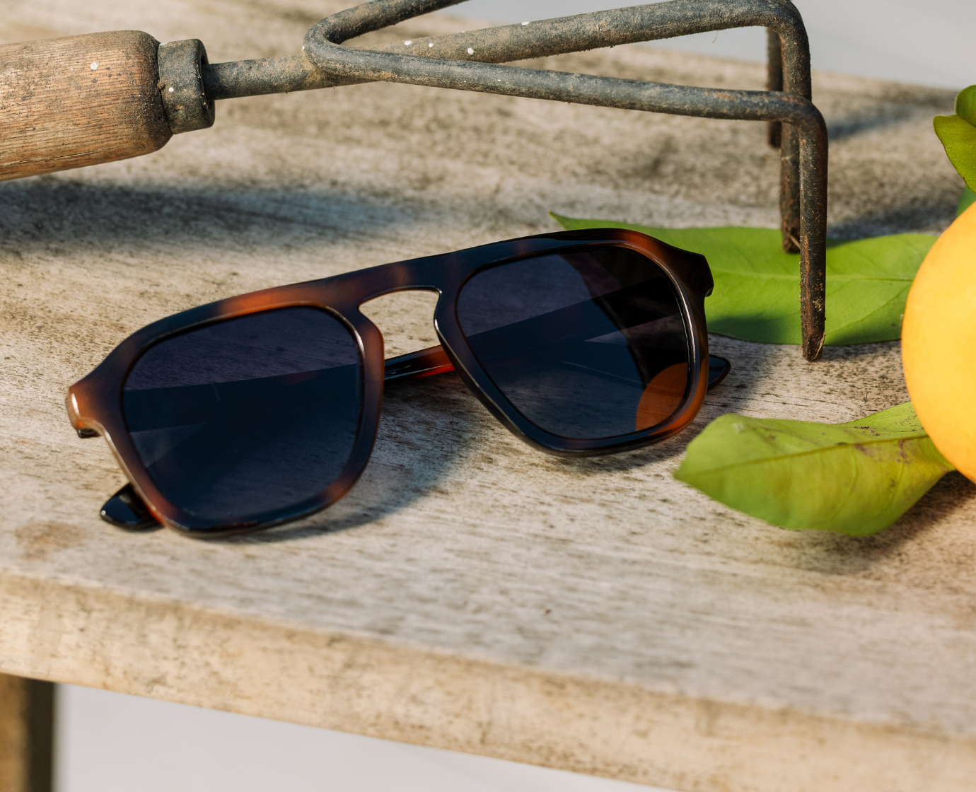 Deep Dive (Sunglasses)